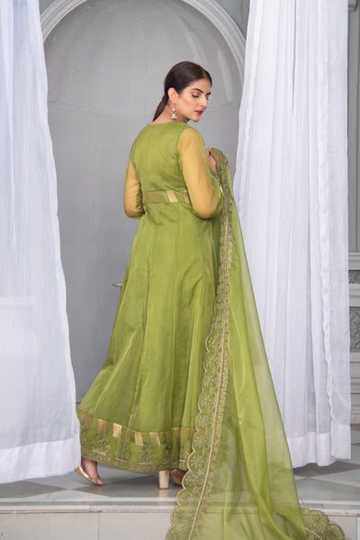 Embroidered Green Organza Suit | 3 Pc | Stitched
