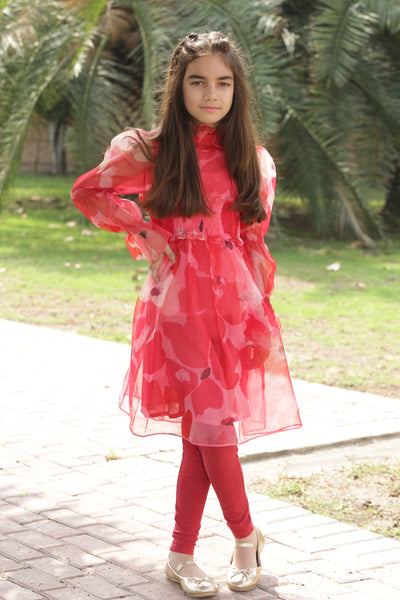 Red Organza Printed Frock