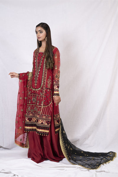 3 Piece - Embroidered Organza Suit
