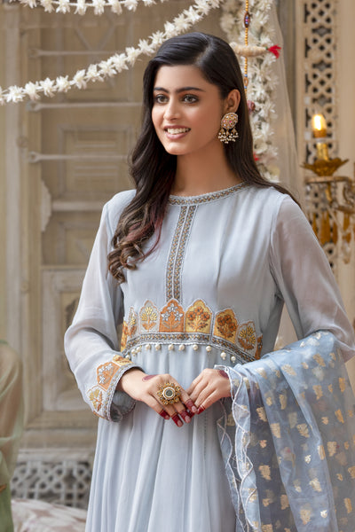 Grey Embroidered Chiffon Frock