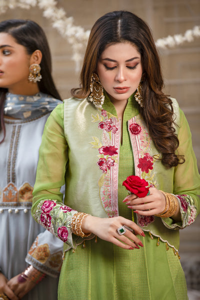 Green Embroidered Chiffon Frock