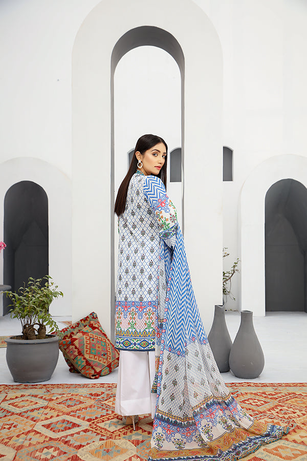 Embroidered Suit | Stitched 3 piece suit- White and Blue Suit- Back