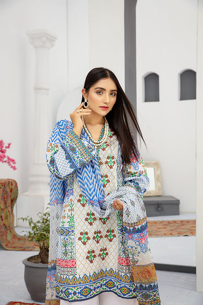 Embroidered Suit | Stitched 3 piece suit- White and Blue Suit- Front 2